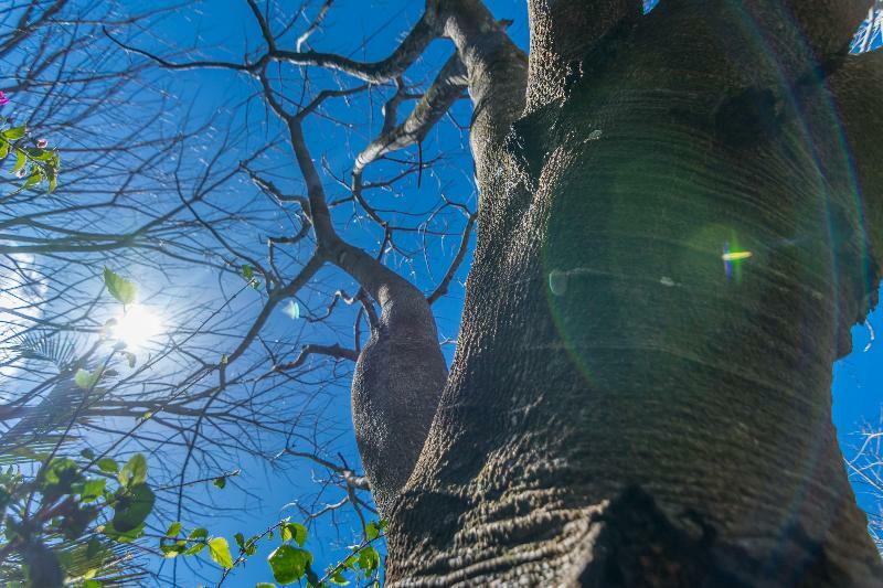 Rinconcito Lodge Hacienda Santa Maria Ngoại thất bức ảnh