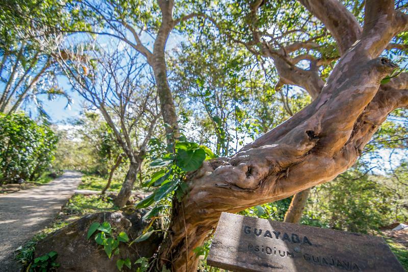 Rinconcito Lodge Hacienda Santa Maria Ngoại thất bức ảnh